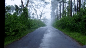 Through the mystic roads of Coorg