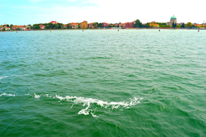 Venice: The Bride Of The Sea