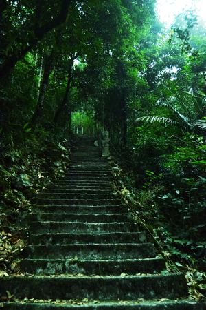 David Scott trail and other treks in Meghalaya