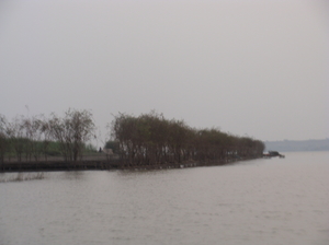 A Birder's Paradise-Kumbhargaon(Bhigwan)