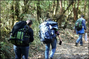 Chronicles of a coveted trek (Sandakphu-Gurdum)