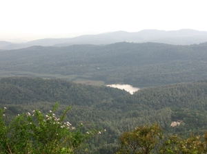 Backpacking in Kemmangundi, Karnataka