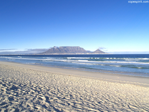 South Africa: Into The Wilderness
