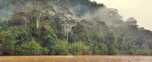 Best Place To See Wildlife In Boeneo
