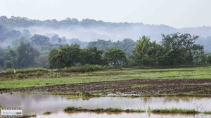 The Konkan Diary - A Photologue