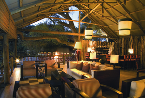 Wildlife Safari: Botswana