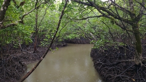 Andamans with my Mom- Part 2