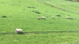 Things To Do In Scotland (That Nobody Tells You About!)