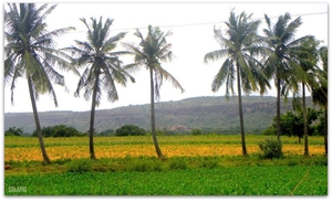 Trip to the era of Vijayanagara & Chalukyas