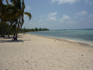 Cuba: A dozen myths and truths