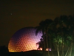 Disney World is for adults too!