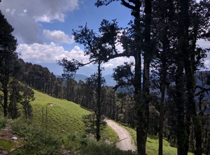 Trippin' in Tiago- Roadtrip from Delhi to Jalori Pass at 10275ft