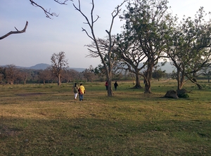 My Big Budget trip to Bandipur !!!