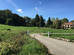 Lyon