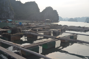 kayaking in the waters of Halong Bay