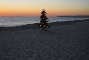 Sunny Christmas at Bondi Beach, Australia
