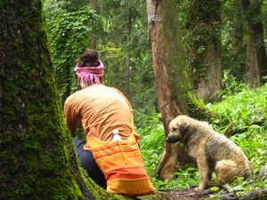 How I screwed up in Kasol in my bipolar disorder’s high phase