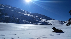 How My First Himalayan Trek to Brahmatal Helped Me Shun My Inhibitions And Brought Me Closer To God