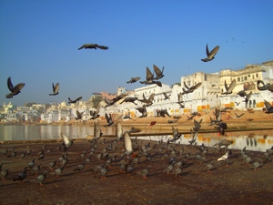 Ajmer & Pushkar - Getting Painted in the Spiritual