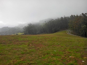 Long drive to Bandipur Tiger Reserves and places around Ooty
