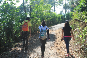 Tadiandamol - The Highest Peak in Kodagu !