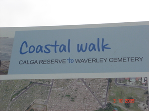A Walk to Remember: Bondi to Coogee Beach