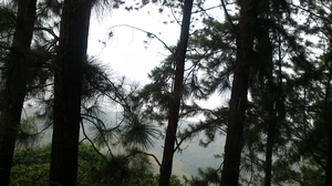 Vagamon: Bald and Beautiful
