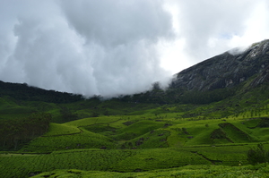 A dream called Munnar