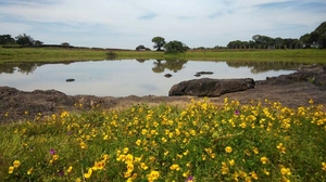 Wishtrack goes Kaas Plateau of Flowers via Satara, Kaas, Bamnoli, Tapola, Mahabaleshwar, Panchgani a