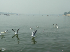 Triveni Sangam at Allahabad