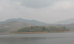 Vagamon- Uneven Greenery
