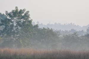 Valmiki Tiger Reserve (VTR)