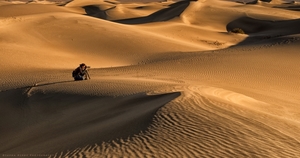 Photography Tour: Rajasthan