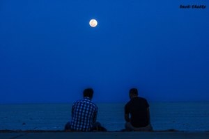 White Rann of Kutch - An Enchanting Experience