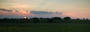 Bangalore To Mysore on a Bicycle: The Art of Wine