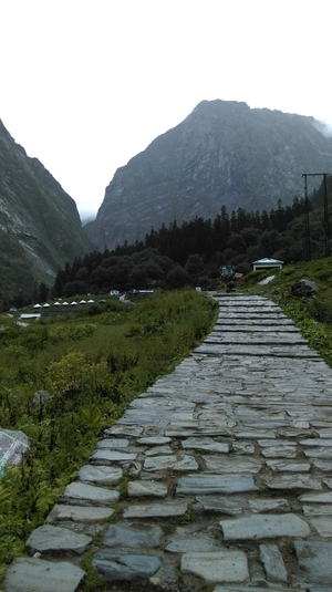 Witness Heaven in Nature’s Own Valley: The Valley of Flowers Trek, Uttarakhand