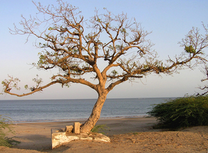One Week Guide to Exploring Gujarat