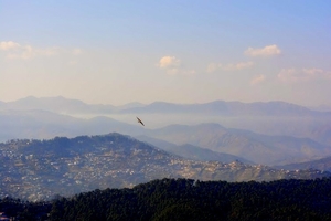 Almora: Wild and Serene