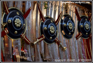 Pushkar-blue lotus, worth to visit this town