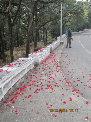 Perfect weekend destination - Lansdowne!!
