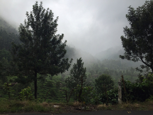 Fascinating Kerala
