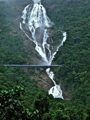 A 5 Day Travel Guide to Goa, India