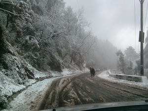 A Perilous Journey Home