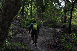 An adventuruous weekend trek in marotichal !
