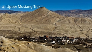 Mustang Trek