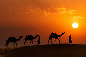 Discovering the real India. Road trip to Rajasthan