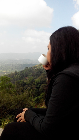 The Coorg trails