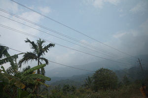 In the lap of nature - Coorg