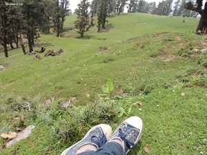 Chopta: Mini Switzerland