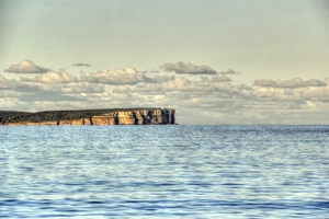 Dolphin watching at Jervis Bay